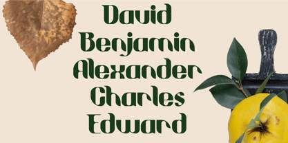 Willie Font Poster 5