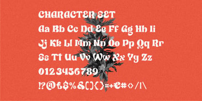 Hyporia Font Poster 5