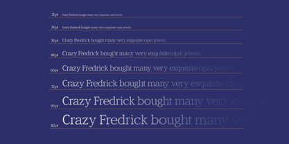 Bagiora Font Poster 6