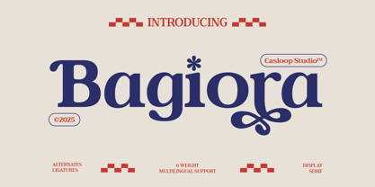 Bagiora Font Poster 1