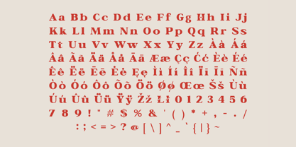 Bagiora Font Poster 4