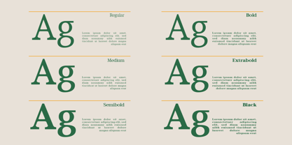Bagiora Font Poster 8
