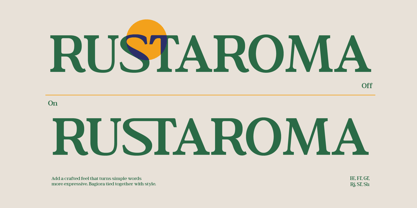 Bagiora Font Poster 3