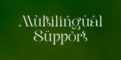 Qris Magic Font Poster 11