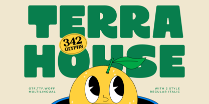 Terra House Font Poster 1