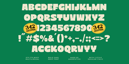 Terra House Font Poster 5