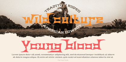 Parisa Font Poster 6