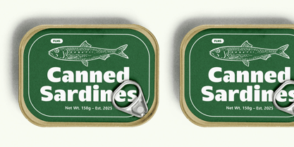 Everlo Sans Font Poster 3