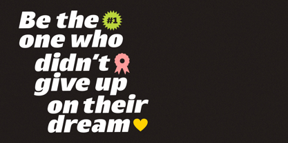 Everlo Sans Font Poster 4