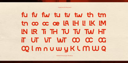 Rustic Wave Font Poster 12