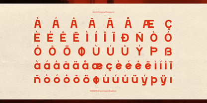 Rustic Wave Font Poster 11