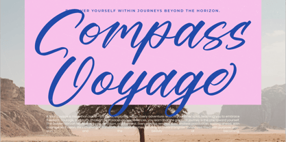 Delighta Font Poster 9