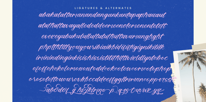 Delighta Font Poster 14