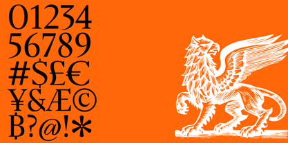 Sidera Font Poster 4