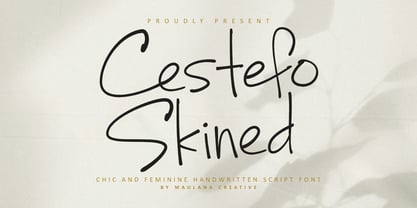 MC Cestefo Skined Font Poster 1