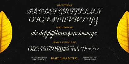 Billotea Font Poster 6