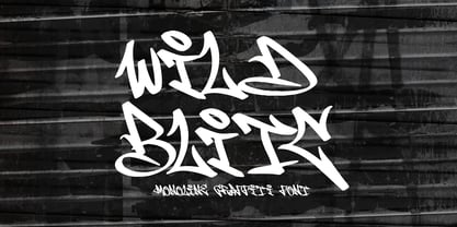 Wild Blitc Font Poster 1