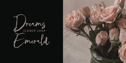 Voltastory Signature Font Poster 9