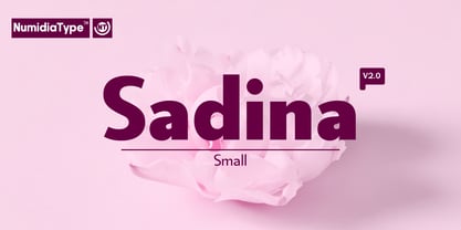 Sadina Small Font Poster 1