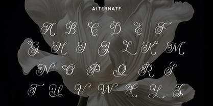 Brikey Moura Font Poster 10