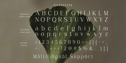 Brikey Moura Font Poster 11