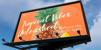 CF Aveniqueacl Font Poster 8