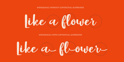 CF Aveniqueacl Font Poster 3