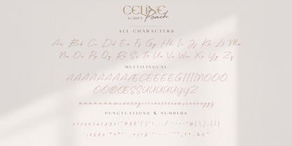Celine Peach Script Font Poster 6