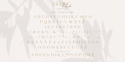 Celine Peach Script Font Poster 5