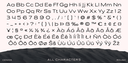 Cenios Rough Font Poster 6
