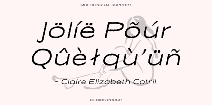 Cenios Rough Font Poster 5