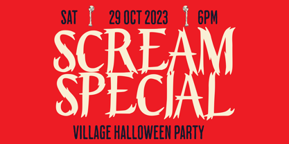 Voodz Font Poster 7
