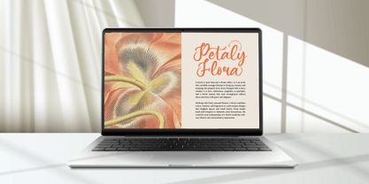 Asylen Raneta Font Poster 11