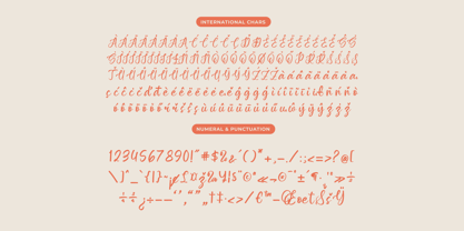 Asylen Raneta Font Poster 13