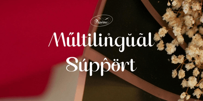 Plavine Font Poster 11