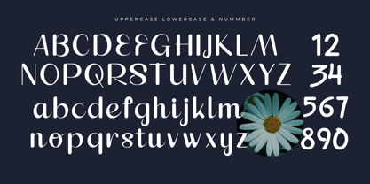 Plavine Font Poster 10