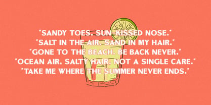 Fashion California Script Font Poster 6