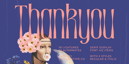 Medkight Font Poster 15