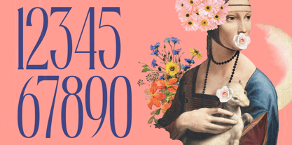 Medkight Font Poster 14