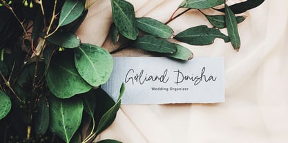 Garlinda Signature Brush Font Poster 9
