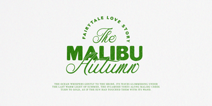Festival Britony Script Font Poster 6