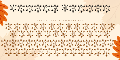 Dainty Autumn Font Poster 5