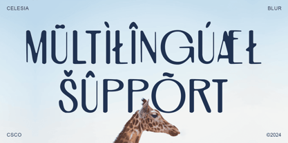 Celesia Blur Font Poster 5