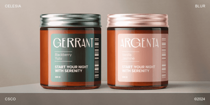 Celesia Blur Font Poster 3