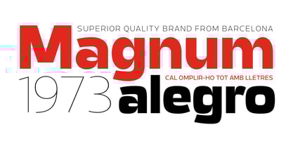 Expandable Font Poster 7