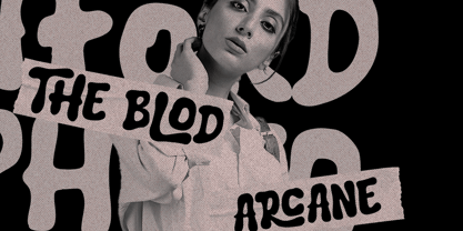 Loviane Font Poster 7