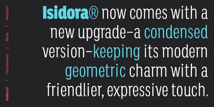 Isidora Font Poster 2