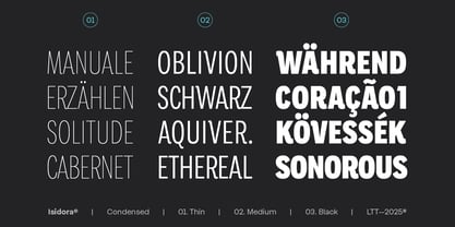 Isidora Font Poster 9
