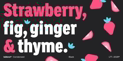 Isidora Font Poster 4