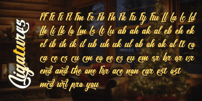 Christmas Angelos Font Poster 14